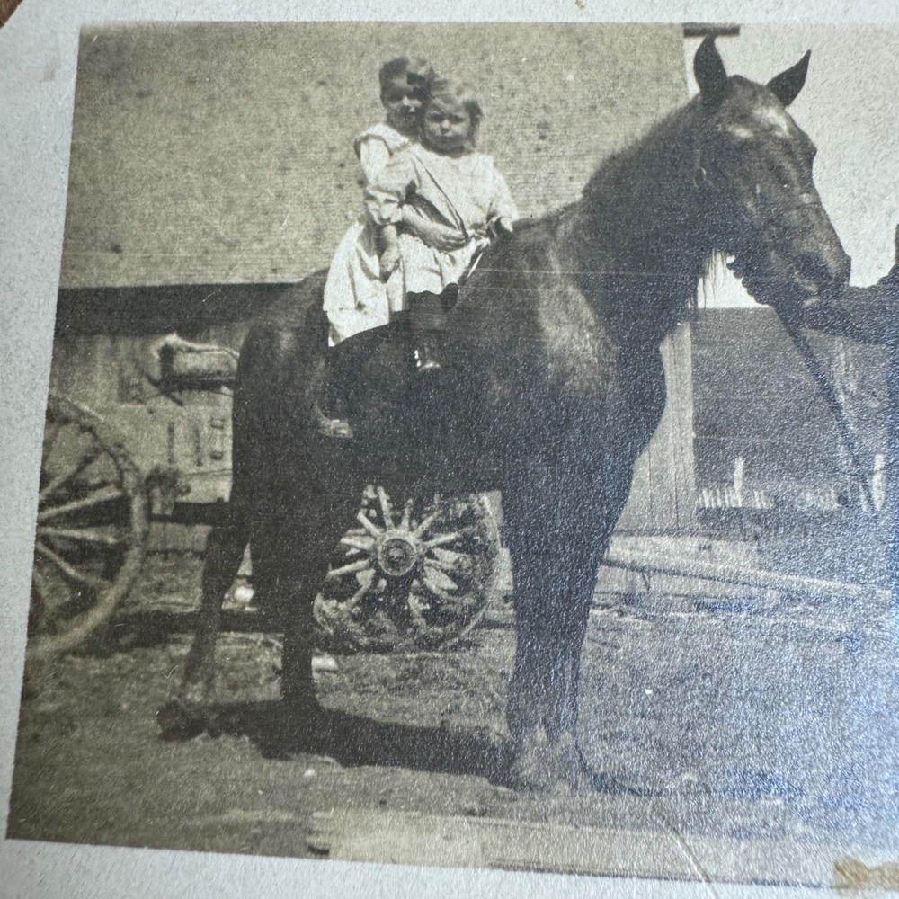 Antique Snapshot Photograph of Man in Overalls with Child on‎ Horse Guss LaBrier - Picture 6 of 6